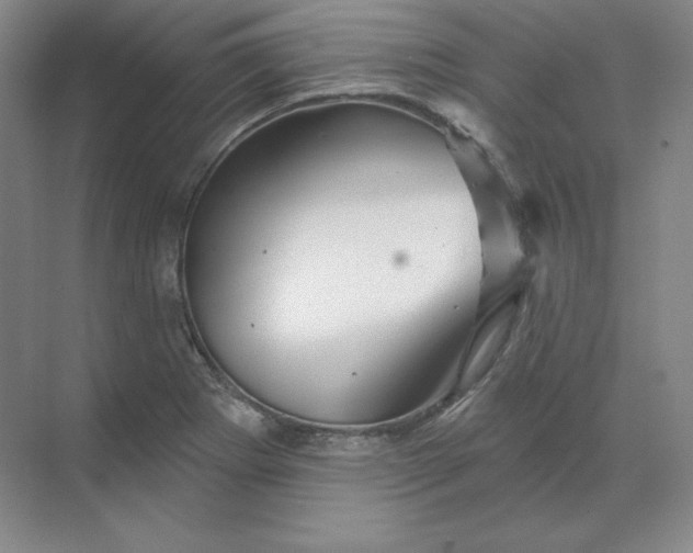 X0000068821273200605191824