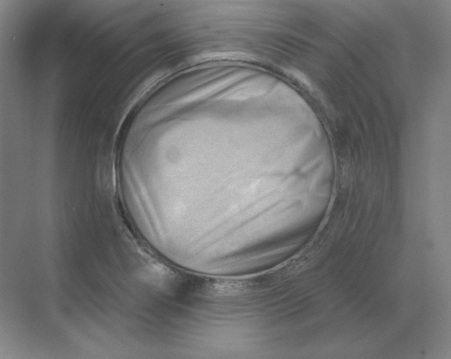 X0000068821274200605191824