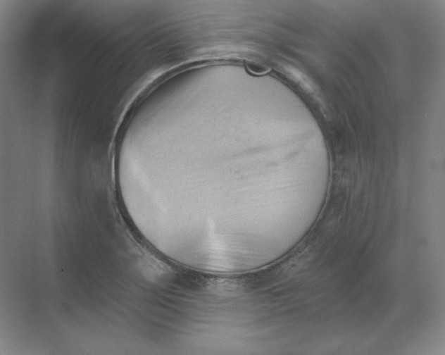 X0000068821275200605191824