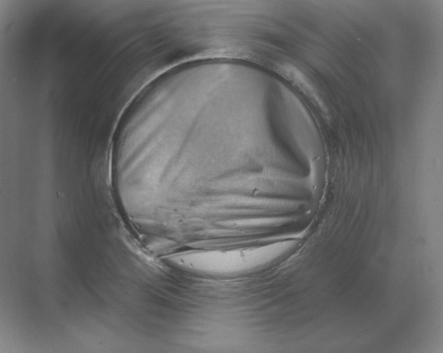 X0000068821276200605191824