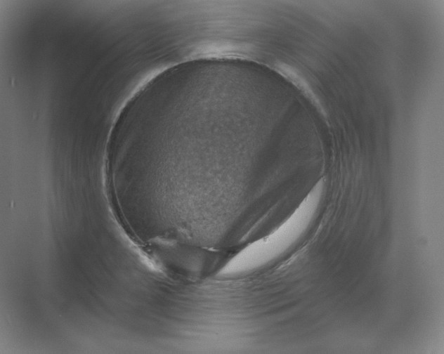 X0000068821277200605191824