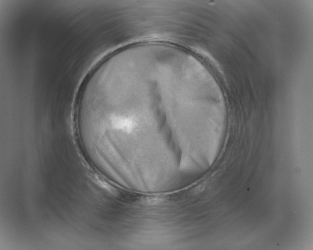 X0000068821278200605191823