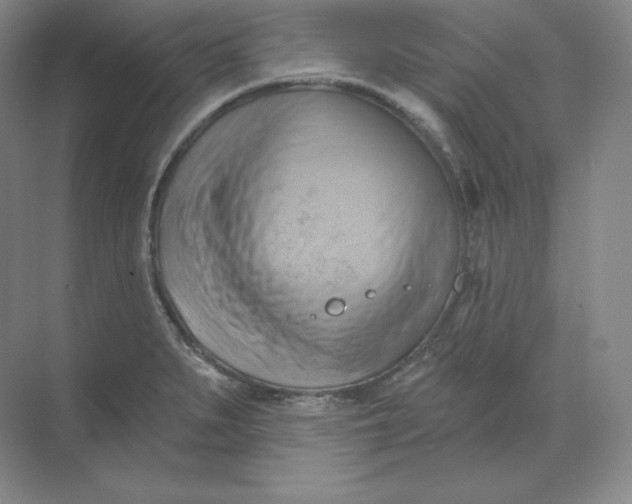 X0000068821279200605191823