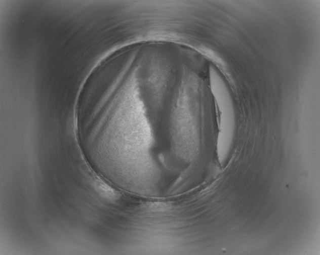 X0000068821280200605191823