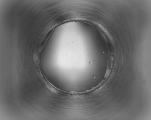 X0000068821281200605191823