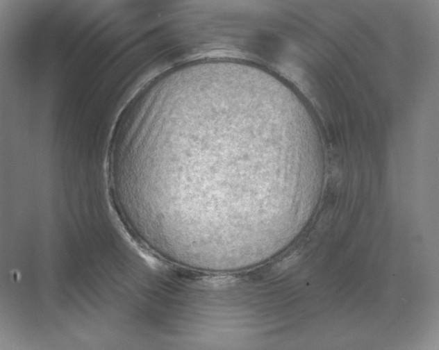 X0000068821282200605191823