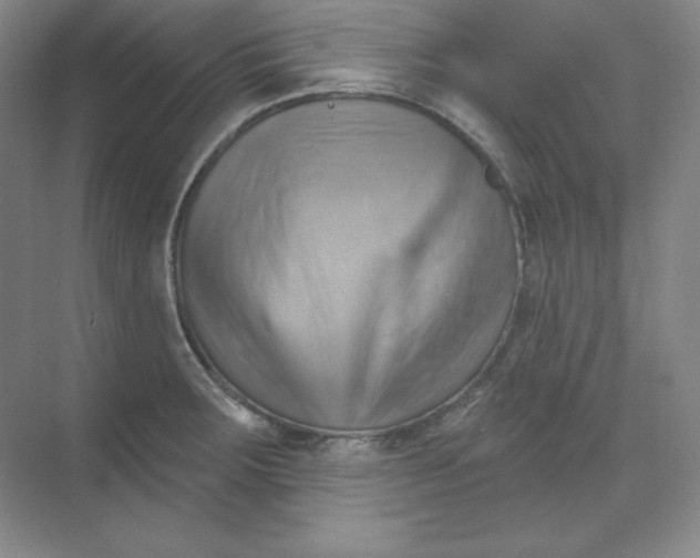 X0000068821283200605191823