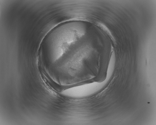 X0000068821284200605191823