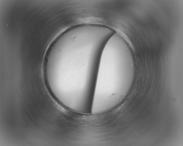 X0000068821285200605191823