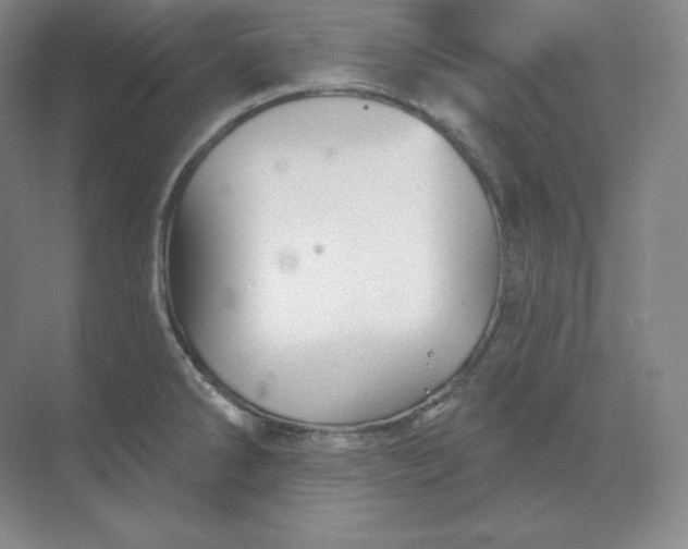 X0000068821286200605191823