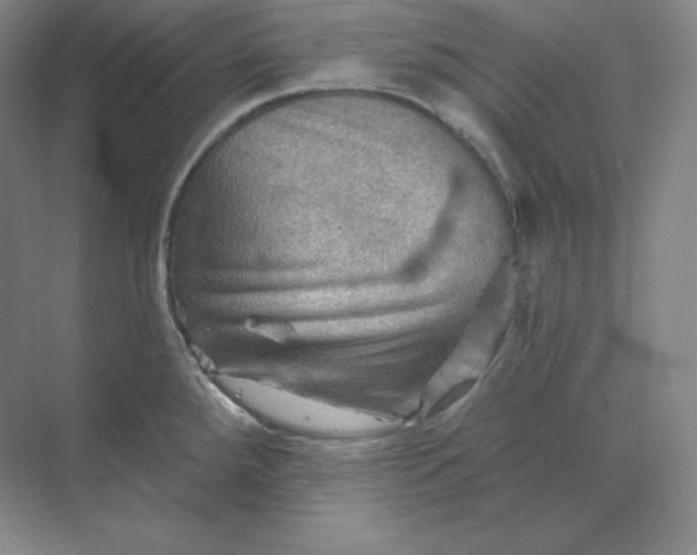 X0000068821288200605191823