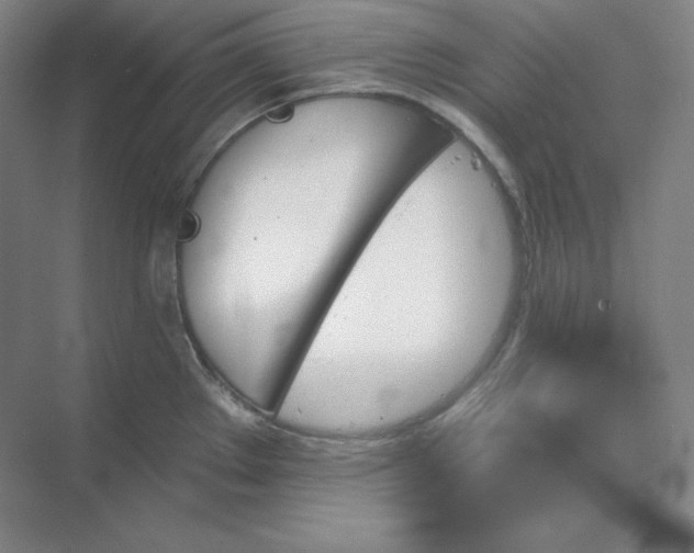 X0000068821289200605191823