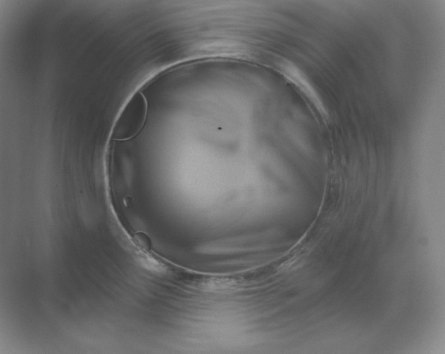 X0000068821291200605191823