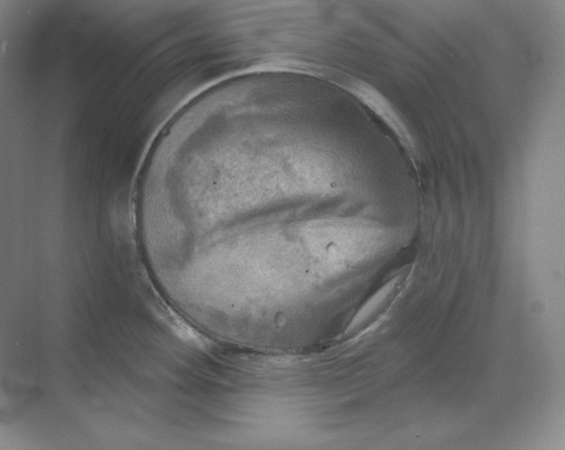 X0000068821292200605191823