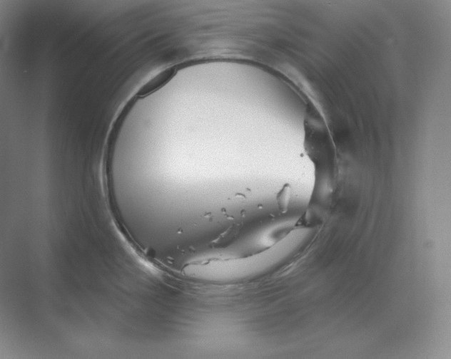 X0000068821293200605191823