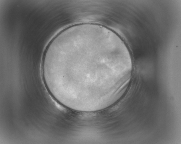 X0000068821294200605191823