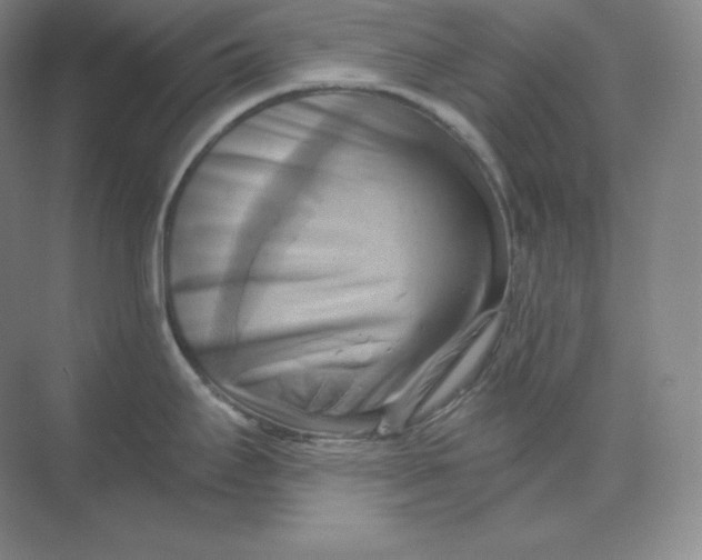 X0000068821295200605191823