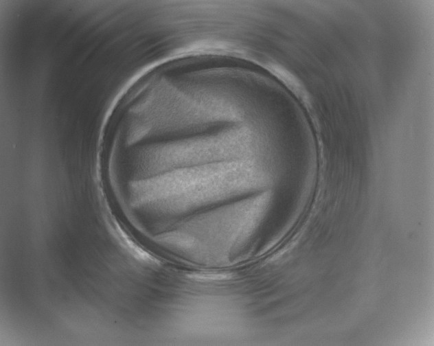 X0000068821296200605191823