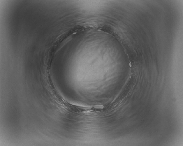 X0000068821297200605191822