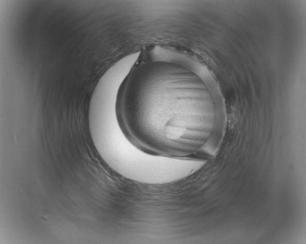 X0000068821298200605191822