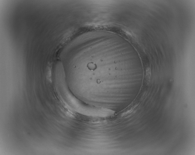 X0000068821300200605191822