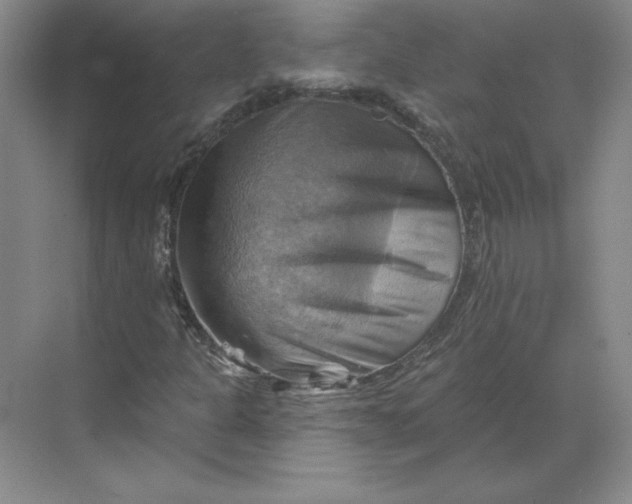 X0000068821301200605191822