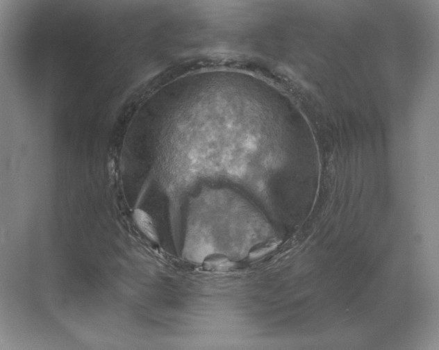 X0000068821302200605191822