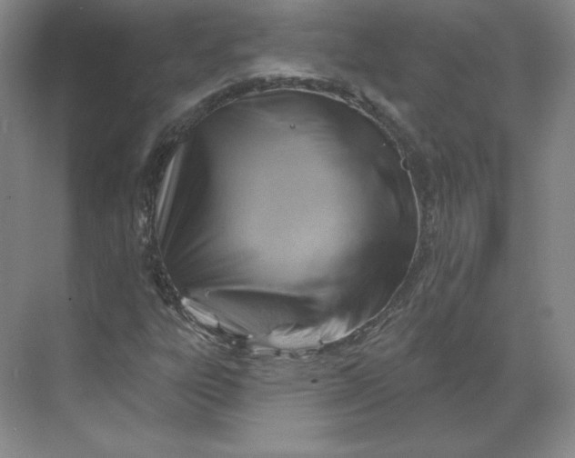 X0000068821303200605191822