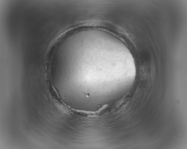 X0000068821304200605191822