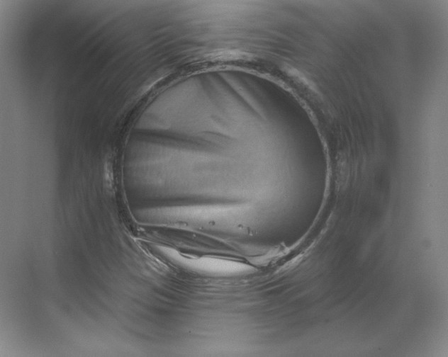 X0000068821305200605191822