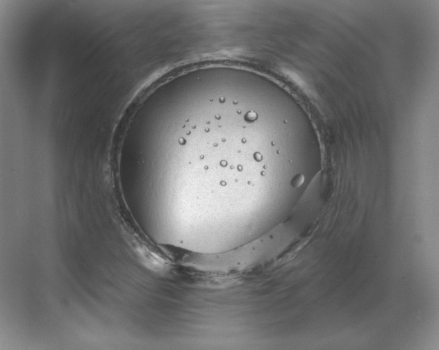 X0000068821308200605191823