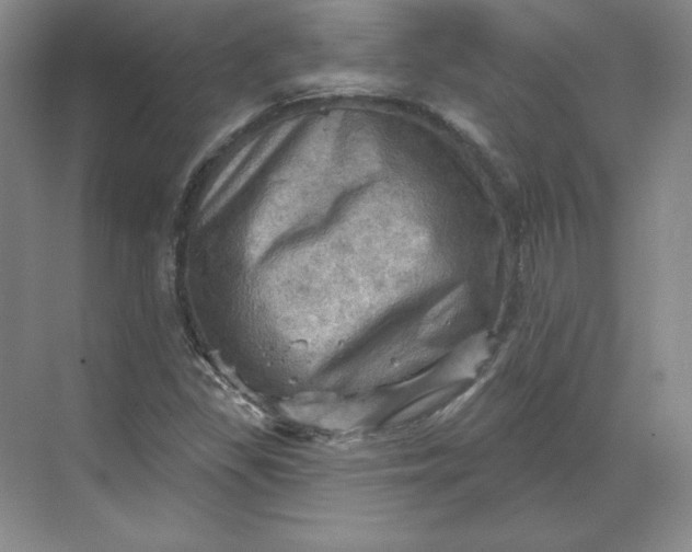 X0000068821309200605191823