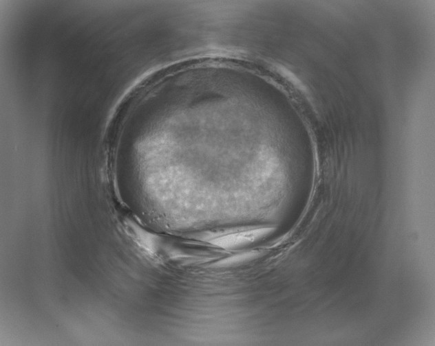 X0000068821310200605191823