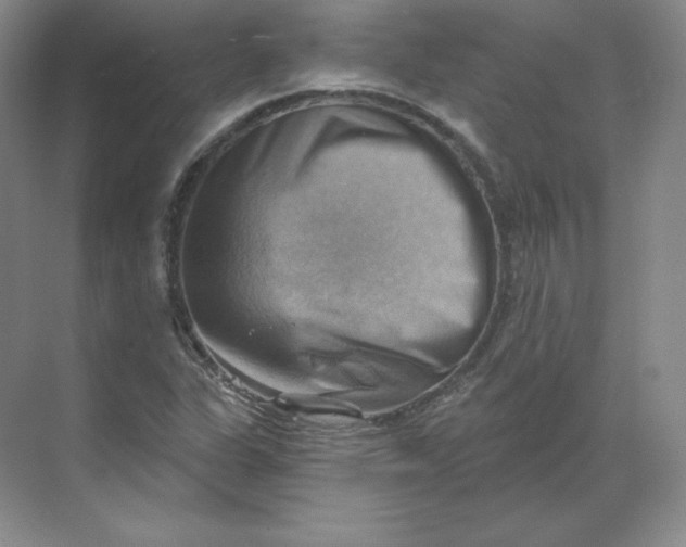 X0000068821311200605191823