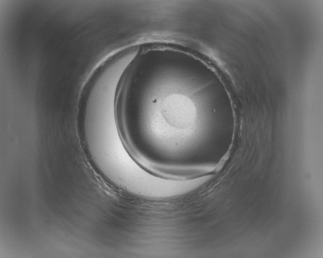 X0000068821312200605191823