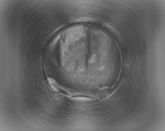 X0000068821313200605191823