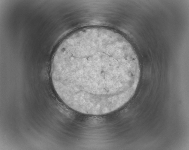 X0000068821314200605191823