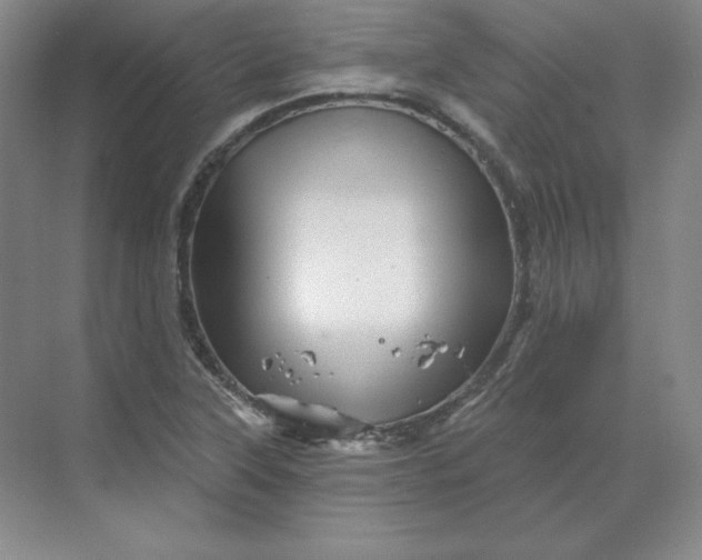 X0000068821315200605191823