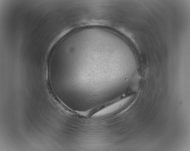 X0000068821317200605191823