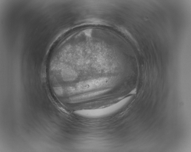 X0000068821318200605191823