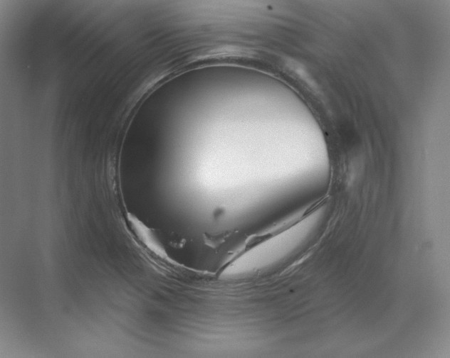 X0000068821321200605191823