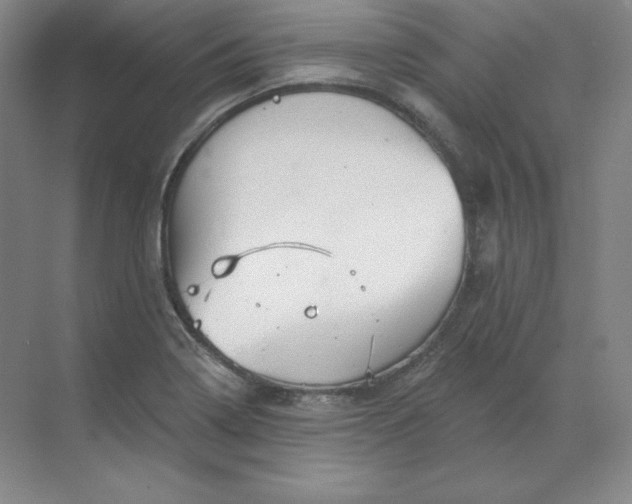 X0000068821322200605191823