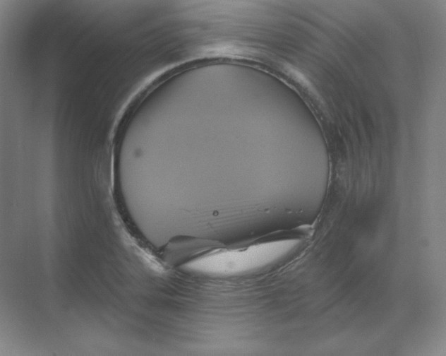 X0000068821323200605191823