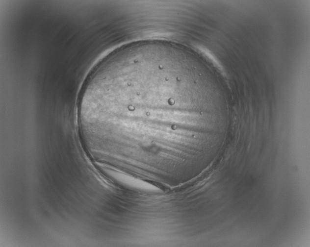 X0000068821324200605191823