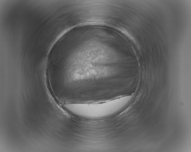 X0000068821325200605191823