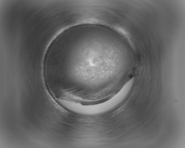 X0000068821326200605191823