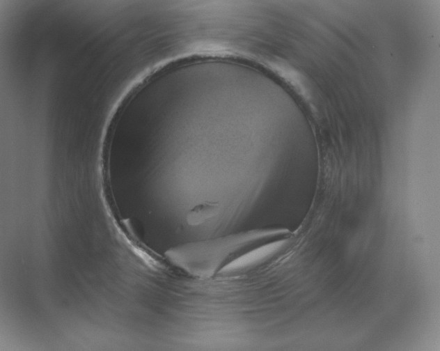 X0000068821327200605191823