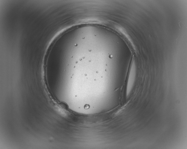 X0000068821328200605191823