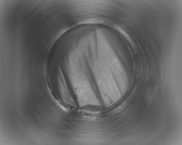 X0000068821329200605191823