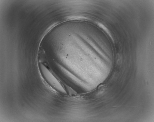 X0000068821330200605191823